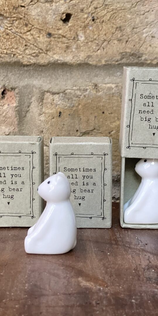 East of India Porcelain bear in a matchbox, message reads "Sometimes all you need is a big bear hug'