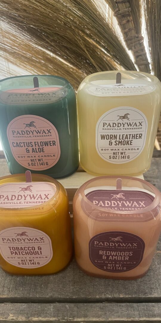 Paddywax Vista Scented Candle | Various Scents