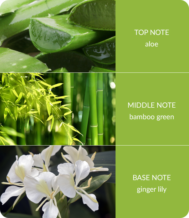 Bamboo Candle Bamboo and Ginger Lilly