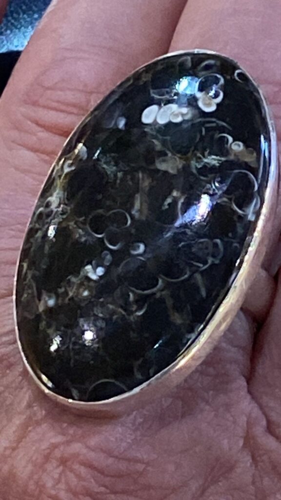 Oval Spotted Turritella Sterling Silver ring. Size P