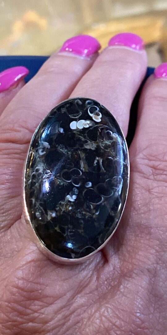 Oval Spotted Turritella Sterling Silver ring. Size P