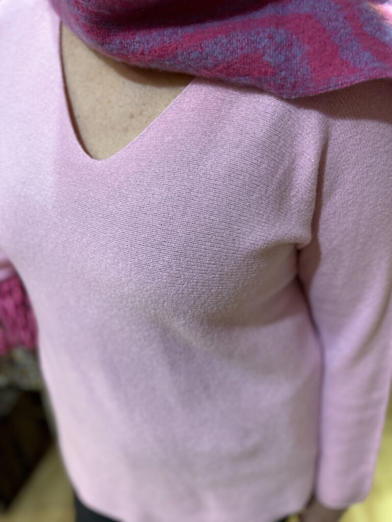 Beatrice Super Soft Fitted V Neck Jumper