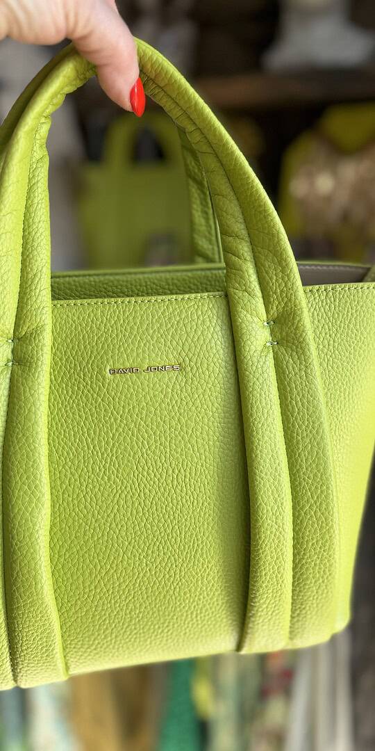 Maria Handback in Lime. Zipped section and detachable long handle.