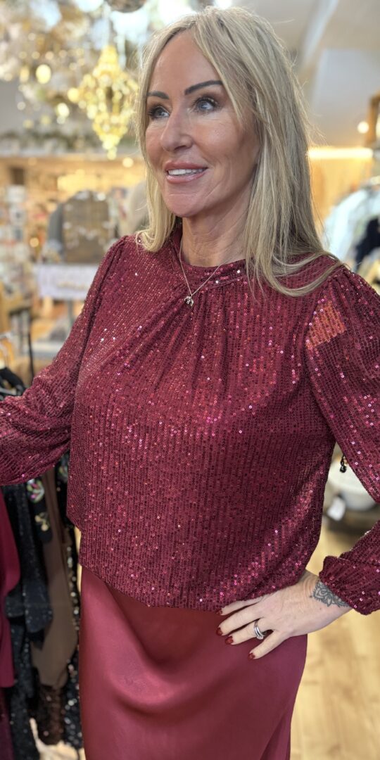 Vera Sequin top. Long sleeve in a wine colour.