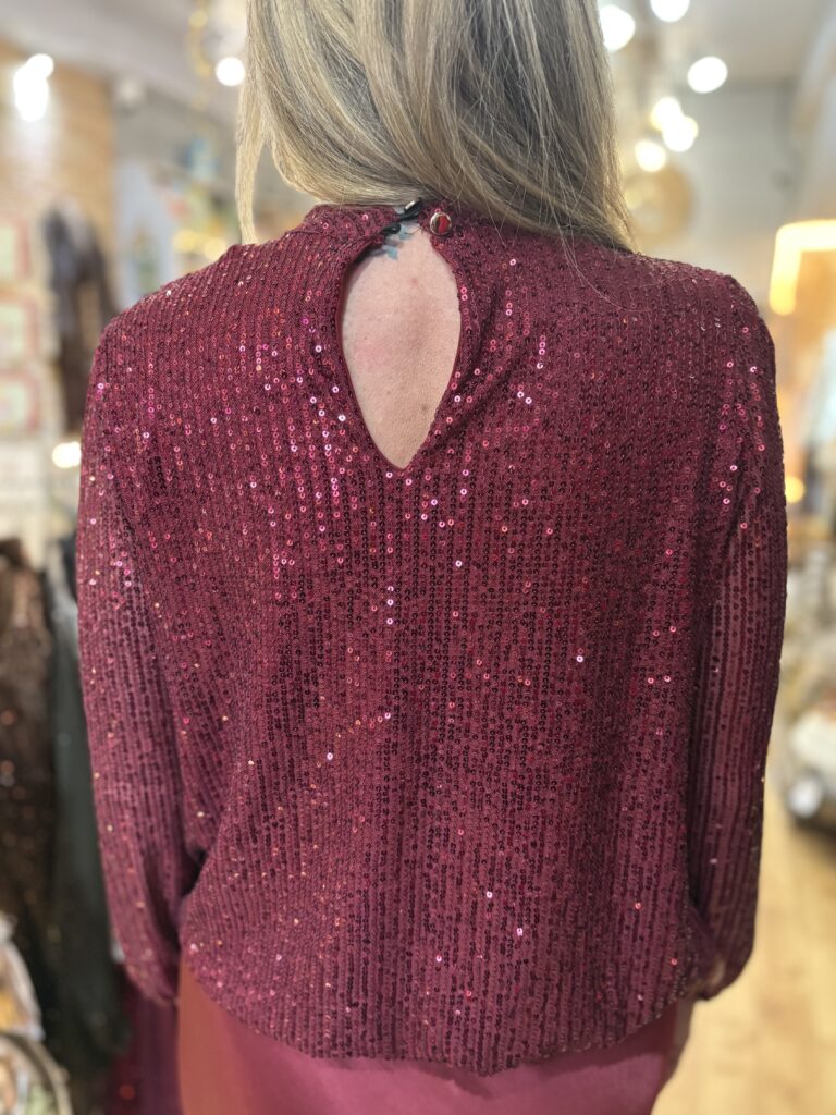 Vera Sequin top. Long sleeve in a wine colour.