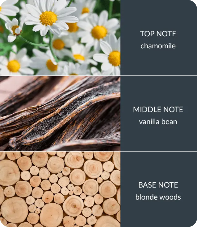 Bamboo Fragrance Diffuser | Vanilla & White Woods