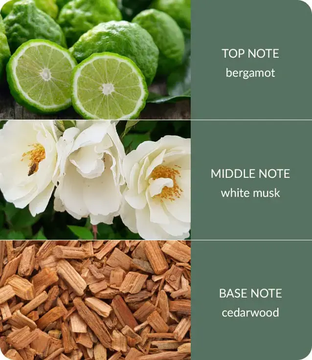 Cedarwood-White-Musk