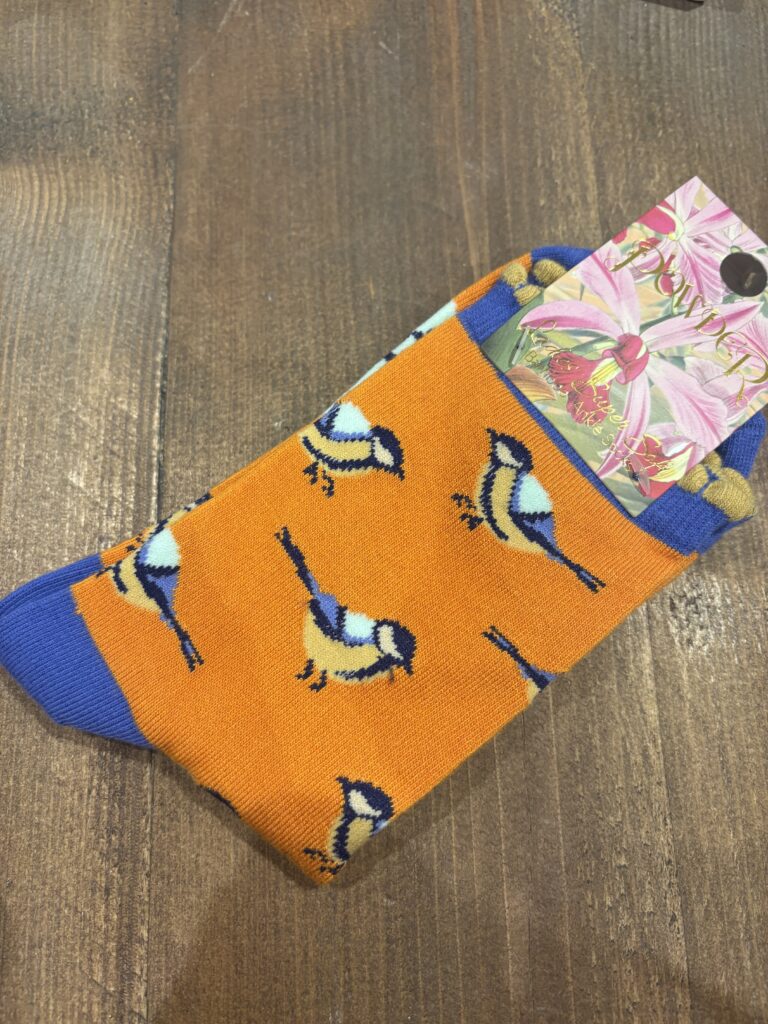 Powder Women's Socks