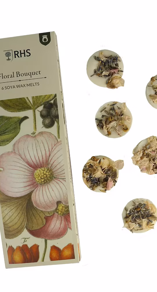RHS Wax Melts Pack of 5 - Two Scents